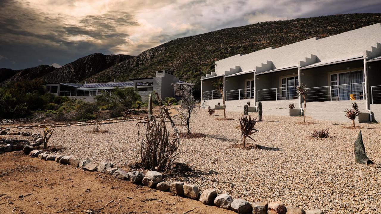 Rooiberg Wild Private Game Reserve Ladismith Buitenkant foto