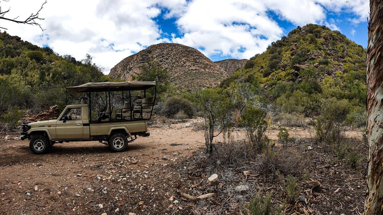 Rooiberg Wild Private Game Reserve Ladismith Buitenkant foto